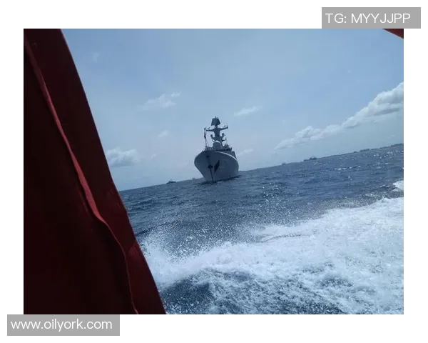 政治干扰与外交风波对国际赛事的潜在影响分析