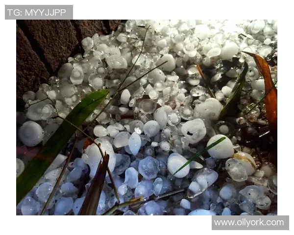 突如其来的冰雹袭击比赛场地短暂中断半小时场面震撼人心