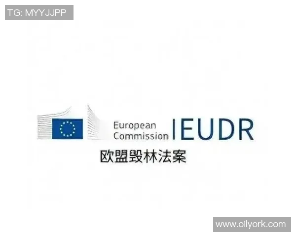 荷兰KOA法案实施后市场格局变化与未来发展趋势分析